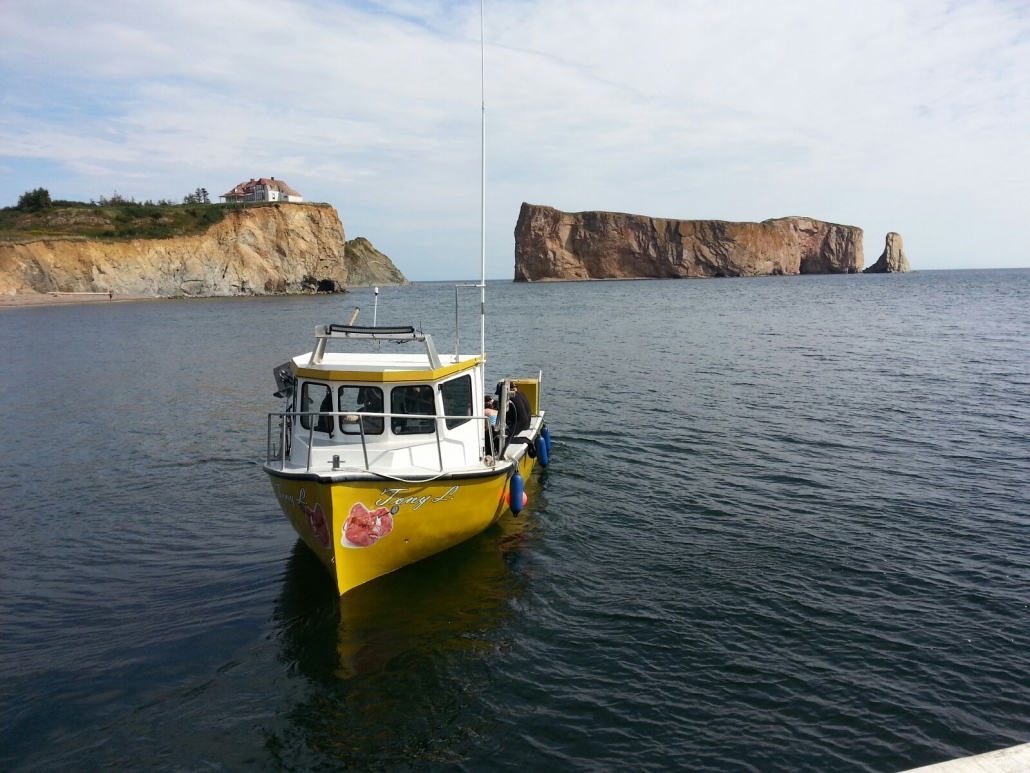 source : regroupement des pêcheurs professionnels du sud de la Gaspésie